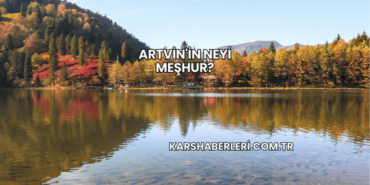 Artvin'in Neyi Meşhur?