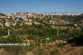 Bilecik'in Neyi Meşhur?