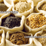 Düzce'de Ne Yetişir?