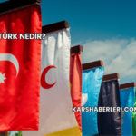 Göktürk Nedir?