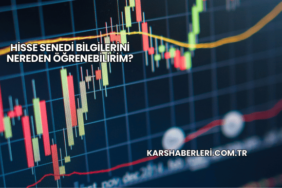 Hisse Senedi Bilgilerini Nereden Öğrenebilirim?
