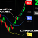 Hisse Senedi Ne Demektir?