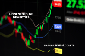 Hisse Senedi Ne Demektir?