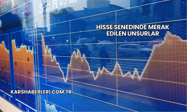 Hisse Senedinde Merak Edilen Unsurlar