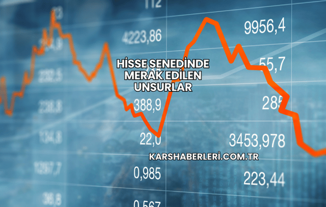 Hisse Senedinde Merak Edilen Unsurlar