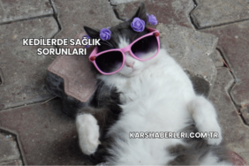 Kedilerde Sağlık Sorunları
