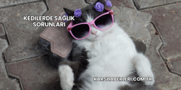 Kedilerde Sağlık Sorunları