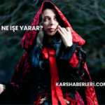 Pelerin Ne İşe Yarar?