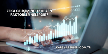 Zeka Gelişimini Etkileyen Faktörler Nelerdir?