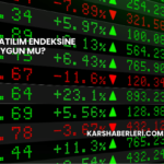 Alfas Katılım Endeksine Uygun mu?