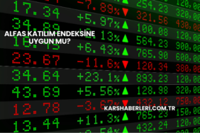Alfas Katılım Endeksine Uygun mu?