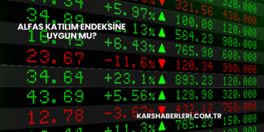 Alfas Katılım Endeksine Uygun mu?