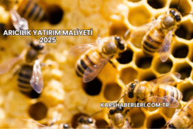 Arıcılık Yatırım Maliyeti 2025