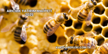 Arıcılık Yatırım Maliyeti 2025