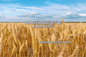 Arpa Ekim Maliyeti Ne Kadar 2025