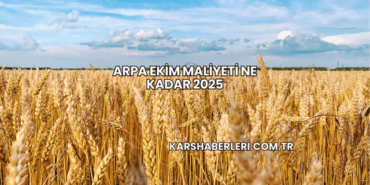 Arpa Ekim Maliyeti Ne Kadar 2025