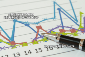 Aselsan Katılım Endeksine Uygun mu?