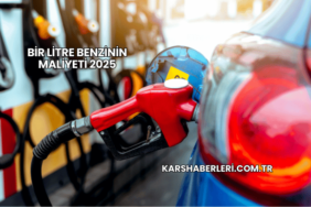 Bir Litre Benzinin Maliyeti 2025
