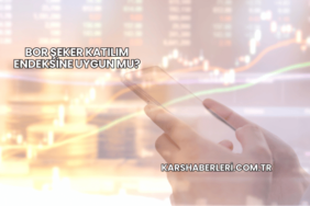 Bor Şeker Katılım Endeksine Uygun mu?