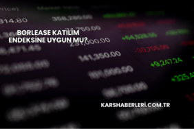 Borlease Katılım Endeksine Uygun mu?