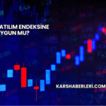 Borls Katılım Endeksine Uygun mu?