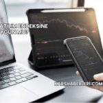 ÇATES Katılım Endeksine Uygun mu?