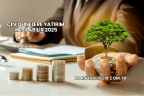 Çin’de Nelere Yatırım Yapılabilir 2025