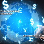 DMR Katılım Endeksine Uygun mu?