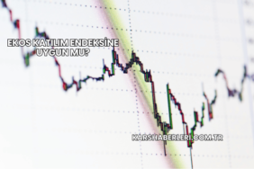 Ekos Katılım Endeksine Uygun mu?