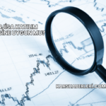 Enerjisa Katılım Endeksine Uygun mu?