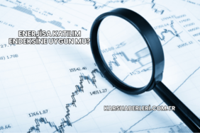 Enerjisa Katılım Endeksine Uygun mu?