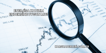 Enerjisa Katılım Endeksine Uygun mu?