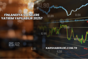 Finlandiya’da Nelere Yatırım Yapılabilir 2025?