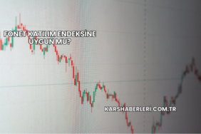 Fonet Katılım Endeksine Uygun mu?