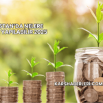 Gürcistan’da Nelere Yatırım Yapılabilir 2025