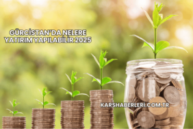 Gürcistan’da Nelere Yatırım Yapılabilir 2025