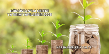 Gürcistan’da Nelere Yatırım Yapılabilir 2025