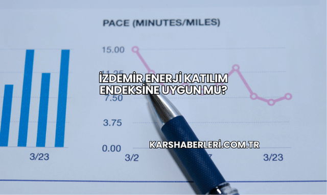İZDEMİR Enerji Katılım Endeksine Uygun mu?