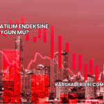 Kozal Katılım Endeksine Uygun mu?