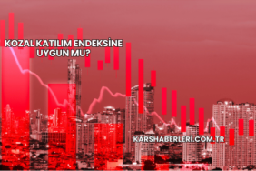 Kozal Katılım Endeksine Uygun mu?