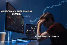 Kriptoda Cypherpunk Ne Demek?
