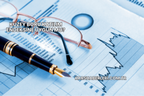 Kuzey Boru Katılım Endeksine Uygun mu (2)