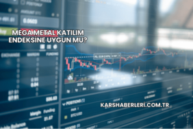 Mega Metal Katılım Endeksine Uygun mu?