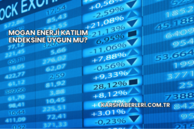 Mogan Enerji Katılım Endeksine Uygun mu?