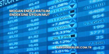 Mogan Enerji Katılım Endeksine Uygun mu?