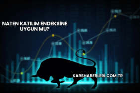 Naten Katılım Endeksine Uygun mu?