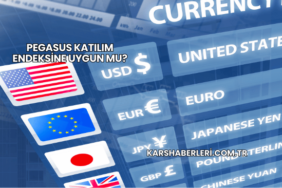 Pegasus Katılım Endeksine Uygun mu?