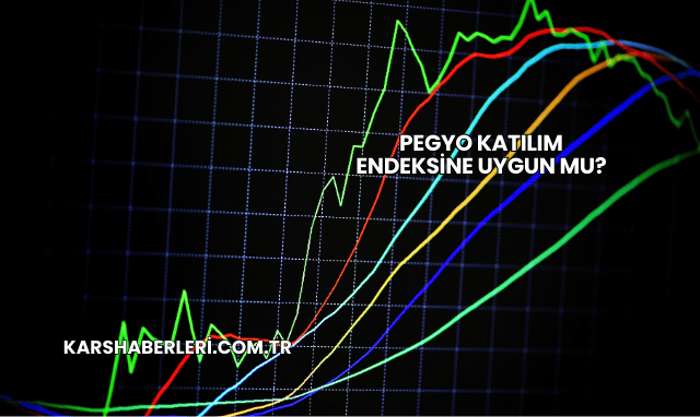Pegyo Katılım Endeksine Uygun mu?