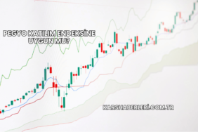 Pegyo Katılım Endeksine Uygun mu?