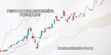 Pegyo Katılım Endeksine Uygun mu?